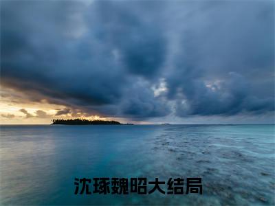 沈琢魏昭小说全文免费阅读（沈琢魏昭）全文免费阅读无弹窗大结局_（沈琢魏昭）沈琢魏昭结局最新章节列表_笔趣阁（沈琢魏昭）