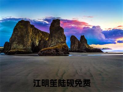 江明笙陆砚小说全文免费阅读无弹窗大结局_江明笙陆砚最新章节列表_笔趣阁