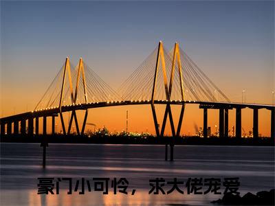 热门小说已完结豪门小可怜，求大佬宠爱小说无弹窗大结局_豪门小可怜，求大佬宠爱宋辞温如枳全文阅读大结局