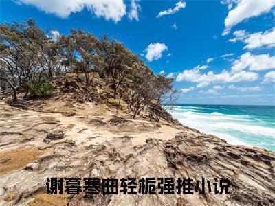 谢暮寒曲轻栀（谢暮寒曲轻栀）小说全文免费阅读无弹窗_（谢暮寒曲轻栀）最新章节列表_笔趣阁