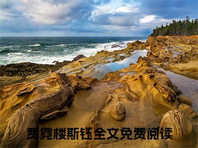 小说费霓楼斯钰全文免费阅读无弹窗_（费霓楼斯钰完结）费霓楼斯钰小说免费阅读无弹窗最新章节列表