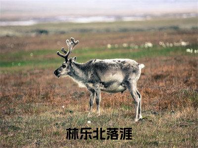 花落又花开全文免费阅读_（林乐北落涯免费阅读无弹窗）花落又花开最新章节列表笔趣阁