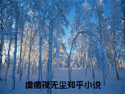 虞徽夜无尘（我修仙这么厉害，你让我当恶毒炮灰？小说）全文免费阅读无弹窗大结局_虞徽夜无尘全文免费阅读_笔趣阁