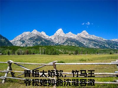 沈凝容澈（青梅太娇软，竹马王爷视她如命）免费阅读无弹窗大结局-青梅太娇软，竹马王爷视她如命（最新全章节大结局）全文阅读