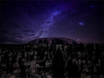 虞筝盛景霆（婚后日常：我跟大佬每天在线飙戏）全文在线阅读无弹窗大结局_虞筝盛景霆精选免费小说大结局阅读_婚后日常：我跟大佬每天在线飙戏