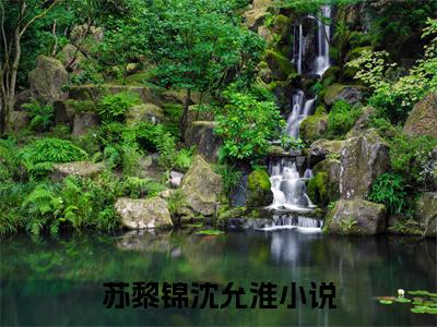 苏黎锦沈允淮小说全文免费阅读无弹窗-苏黎锦沈允淮全章节阅读