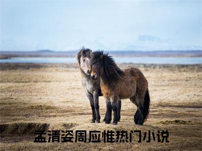 孟清姿周应惟（孟清姿周应惟）全文免费阅读无弹窗大结局_孟清姿周应惟全文免费阅读（孟清姿周应惟）最新章节列表_笔趣阁