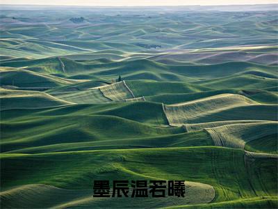 墨辰温若曦全文全文免费阅读_（墨辰温若曦免费阅读无弹窗）墨辰温若曦全文最新章节列表笔趣阁（墨辰温若曦）