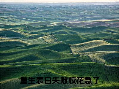 周晨刘思颖（主角是重生表白失败校花急了全文免费阅读无弹窗）_周晨刘思颖全文免费阅读无弹窗大结局