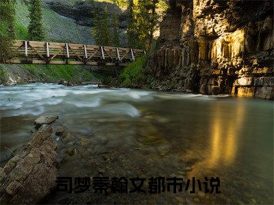 司梦秦翰文精选热门小说-司梦秦翰文免费全文阅读