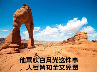 魏暄和宋长离（他喜欢白月光这件事，人尽皆知）全文免费阅读无弹窗大结局_魏暄和宋长离免费阅读全文大结局