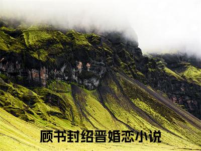 顾书封绍晋（顾书封绍晋）全文免费阅读无弹窗大结局_（顾书封绍晋）免费阅读无弹窗最新章节列表