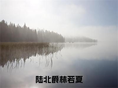 陆北爵林若夏（替身罪妻，陆总别追了）多人推荐-替身罪妻，陆总别追了陆北爵林若夏好看的小说完整版全文