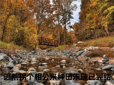 逃荒拐个相公来种田朱珠（逃荒拐个相公来种田朱珠）免费阅读全本资源-热门新书逃荒拐个相公来种田朱珠在线阅读