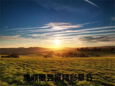 萧鼎墨芸景全文免费阅读无弹窗大结局_萧鼎墨芸景(萧鼎墨芸景最新章节在线阅读)_笔趣阁