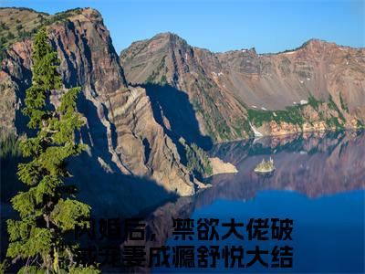 闪婚后，禁欲大佬破戒宠妻成瘾舒悦免费正版小说完整版阅读-闪婚后，禁欲大佬破戒宠妻成瘾舒悦最新章节在线阅读