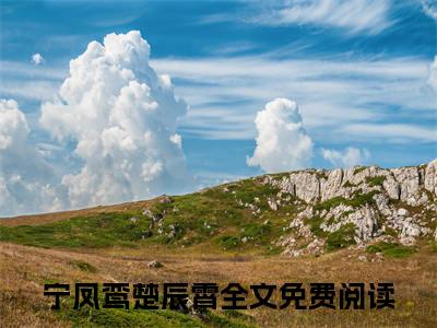 宁凤鸾楚辰霄结局_宁凤鸾楚辰霄最新章节列表_笔趣阁