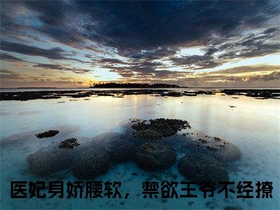 番外+免费小说《叶黎萧宴玄》全文免费阅读无弹窗-医妃身娇腰软，禁欲王爷不经撩小说全文在线赏析_笔趣阁