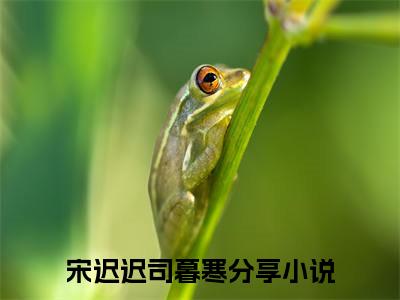 宋迟迟司暮寒小说免费阅读-精选好书宋迟迟司暮寒