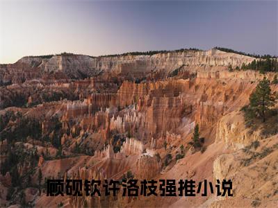小说顾砚钦许洛枝（许洛枝顾砚钦）全文免费阅读-2023最火热门小说顾砚钦许洛枝最新章节更新