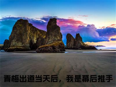 青梅出道当天后，我是幕后推手热门小说在哪免费看-小说夏河（青梅出道当天后，我是幕后推手）完整版全文在线赏析