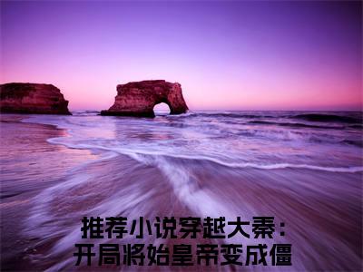 穿越大秦：开局将始皇帝变成僵尸小说在线阅读全文无弹窗_赵勾小说最新全文完整无删减版
