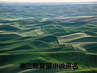 谢兰陈夏望阅读无弹窗大结局_（谢兰陈夏望阅读无弹窗）最新章节列表_笔趣阁（谢兰陈夏望）
