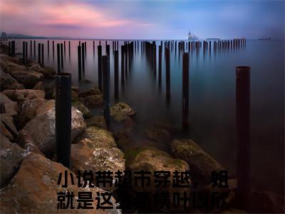 带超市穿越，姐就是这么豪横叶以欣小说全文免费阅读（带超市穿越，姐就是这么豪横叶以欣）全文免费阅读无弹窗_带超市穿越，姐就是这么豪横叶以欣小说全文免费阅读_笔趣阁（带超市穿越，姐就是这么豪横叶以欣）