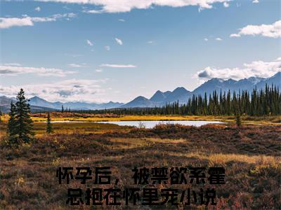 霍见深宋西棠（怀孕后，被禁欲系霍总抱在怀里宠）全文免费阅读无弹窗大结局_霍见深宋西棠最新章节列表（怀孕后，被禁欲系霍总抱在怀里宠）
