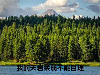 月般般姜重华（我的夫君柔弱不能自理）全文免费阅读无弹窗大结局_我的夫君柔弱不能自理免费最新章节列表_笔趣阁