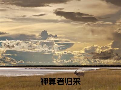 嬴子衿全文免费阅读无弹窗大结局_ (神算者归来)嬴子衿在线阅读无弹窗