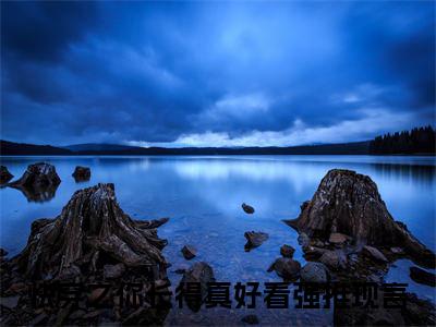 快穿之你长得真好看全文免费阅读无弹窗-（快穿之你长得真好看）宸惜星灿小说全文在线阅读笔趣阁