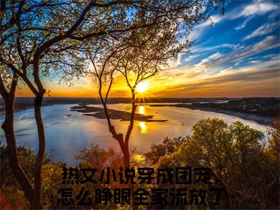 穿成团宠，怎么睁眼全家流放了？（幺宝苏秀）完整版小说阅读_幺宝苏秀全文免费阅读笔趣阁（穿成团宠，怎么睁眼全家流放了？）
