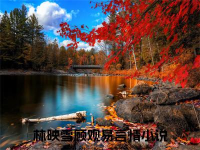 林映雪顾观易小说最新章节免费阅读-林映雪顾观易小说全文无删减版