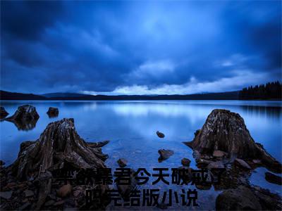 小说《尤小怜谢政安》全文免费阅读无弹窗-禁欲暴君今天破戒了吗小说全文在线赏析