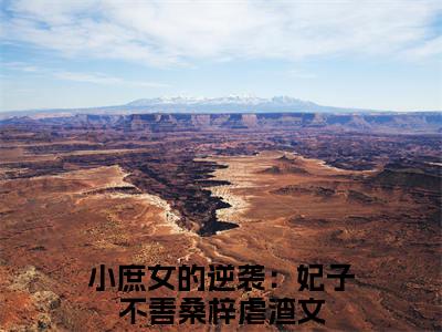 小庶女的逆袭：妃子不善桑梓（小庶女的逆袭：妃子不善桑梓）全文免费阅读-小庶女的逆袭：妃子不善桑梓最新章节小说阅读-笔趣阁