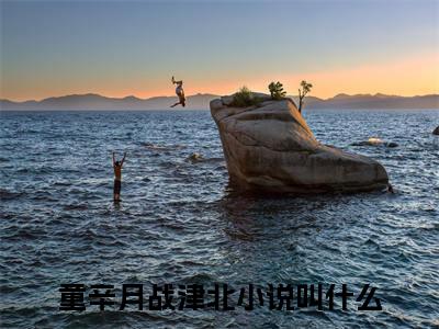 童辛月战津北小说免费下载（童辛月战津北完整全集已完结大结局小说）_童辛月战津北免费阅读