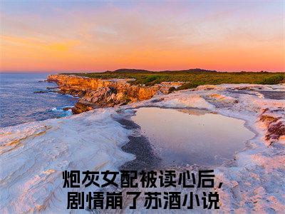 炮灰女配被读心后，剧情崩了苏酒新上热文小说-炮灰女配被读心后，剧情崩了苏酒推荐阅读已完结