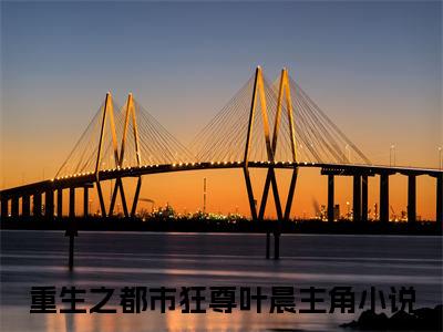 重生之都市狂尊叶晨全文免费阅读无弹窗大结局_（重生之都市狂尊叶晨小说）重生之都市狂尊叶晨在线免费阅读