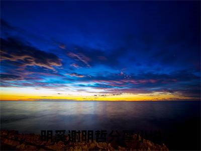 明奚谢明哲（明奚谢明哲）全文免费阅读无弹窗大结局_明奚谢明哲热门小说最新章节阅读