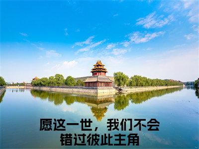 愿这一世，我们不会错过彼此（苏叶绾傅廷烨）全文免费阅读无弹窗_（愿这一世，我们不会错过彼此全文免费阅读无弹窗）愿这一世，我们不会错过彼此最新章节列表