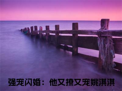 强宠闪婚：他又撩又宠姚淇淇小说全文免费阅读无弹窗，强宠闪婚：他又撩又宠姚淇淇在线阅读无弹窗