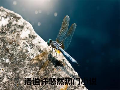 洛逍许悠然最新（洛逍许悠然 ）全文免费阅读无弹窗大结局笔趣阁