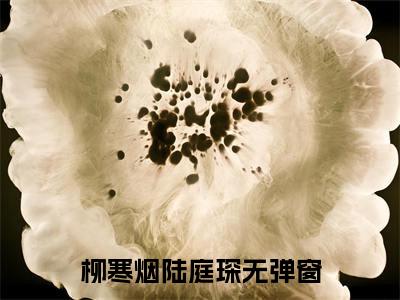 柳寒烟陆庭琛小说全文免费阅读 柳寒烟陆庭琛最新章节