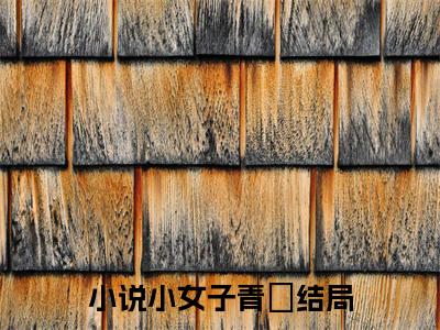 青秞小说（小女子青秞）全文免费阅读大结局无删减_（小女子青秞）青秞小说最新章节列表_笔趣阁