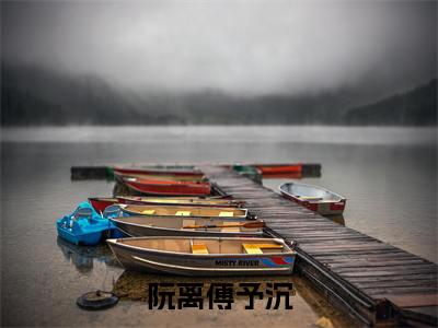 阮离傅予沉全本资源（阮离傅予沉）全文免费阅读无弹窗大结局_阮离傅予沉最新章节列表（阮离傅予沉）