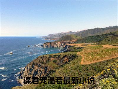 谋君宠温若全文免费最后一章在线阅读 谋君宠温若全文小说完整版