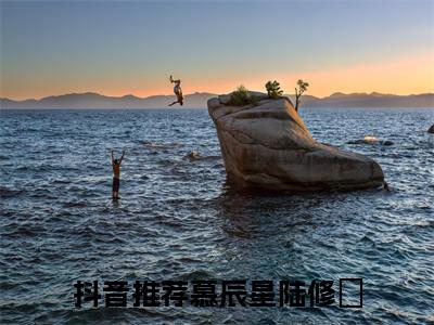 慕辰星陆修璟完整版全文在线赏析-慕辰星陆修璟全文在线阅读