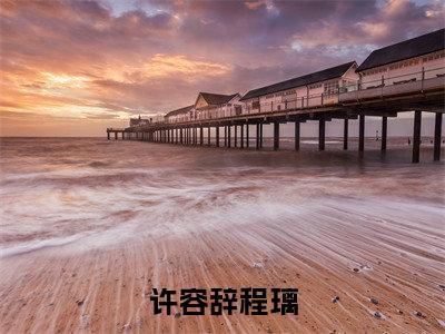 许容辞程璃（许容辞程璃）全文免费阅读无弹窗大结局_许容辞程璃最新章节列表_笔趣阁（许容辞程璃）