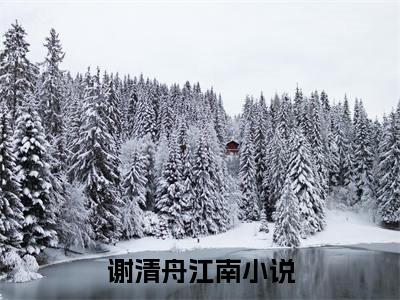 (热推新书)谢清舟江南完整版免费小说无弹窗阅读_谢清舟江南最新章节列表_笔趣阁（谢清舟江南）